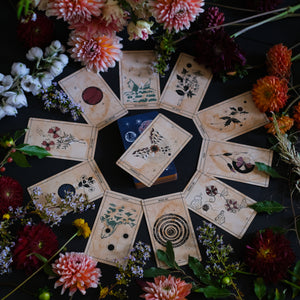 Ad Orbita is a 78 card botanical and astrology Tarot deck, illustrated by hand. Each of these Major and Minor Arcana cards take root the realm of the plants and planets, connecting the elements and the stars.
