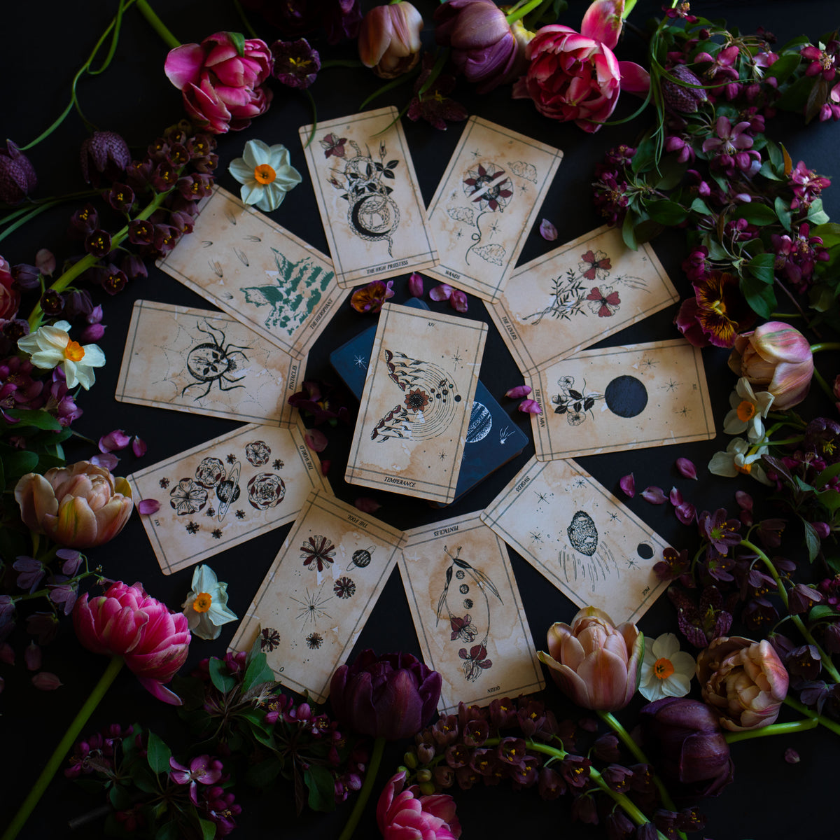 Ad Orbita Tarot