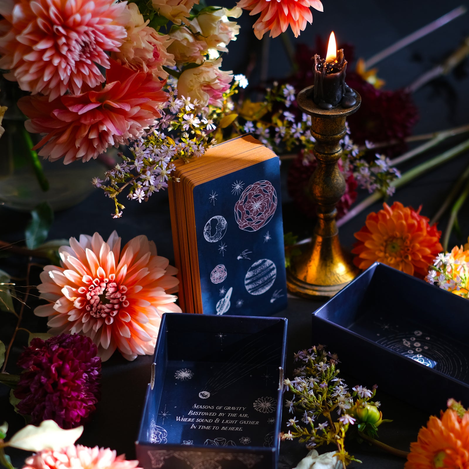 Ad Orbita Tarot is rooted in plants, the planets, astrology and the elements. Each of these 78 Major and Minor Arcana cards were illustrated and painted by hand, and celebrate the mystery and magic of the natural realm.