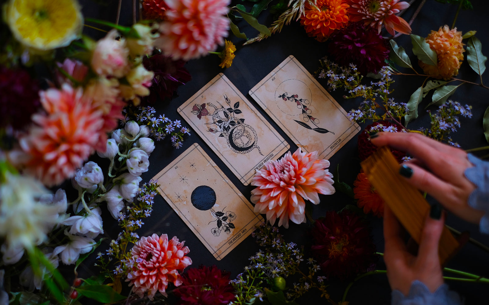Ad Orbita Tarot is a botanical and astrology inspired deck, illustrated by hand and rooted in plants and the planets, the elements and the stars.