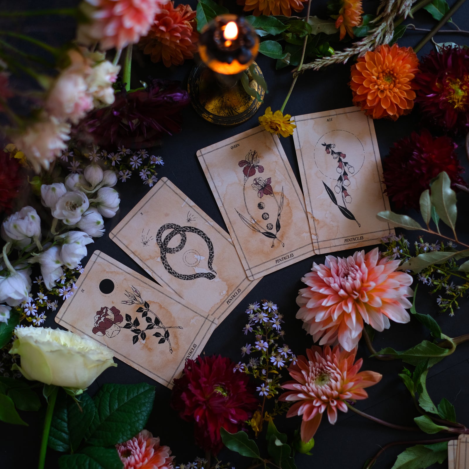 Ad Orbita Tarot is a hand-illustrated 78 card botanical and astrological deck. Rooted in the relationship between plants and the planets, each of these 78 tarot cards draws upon ancient meaning in a modern, imaginative and intuitive form.