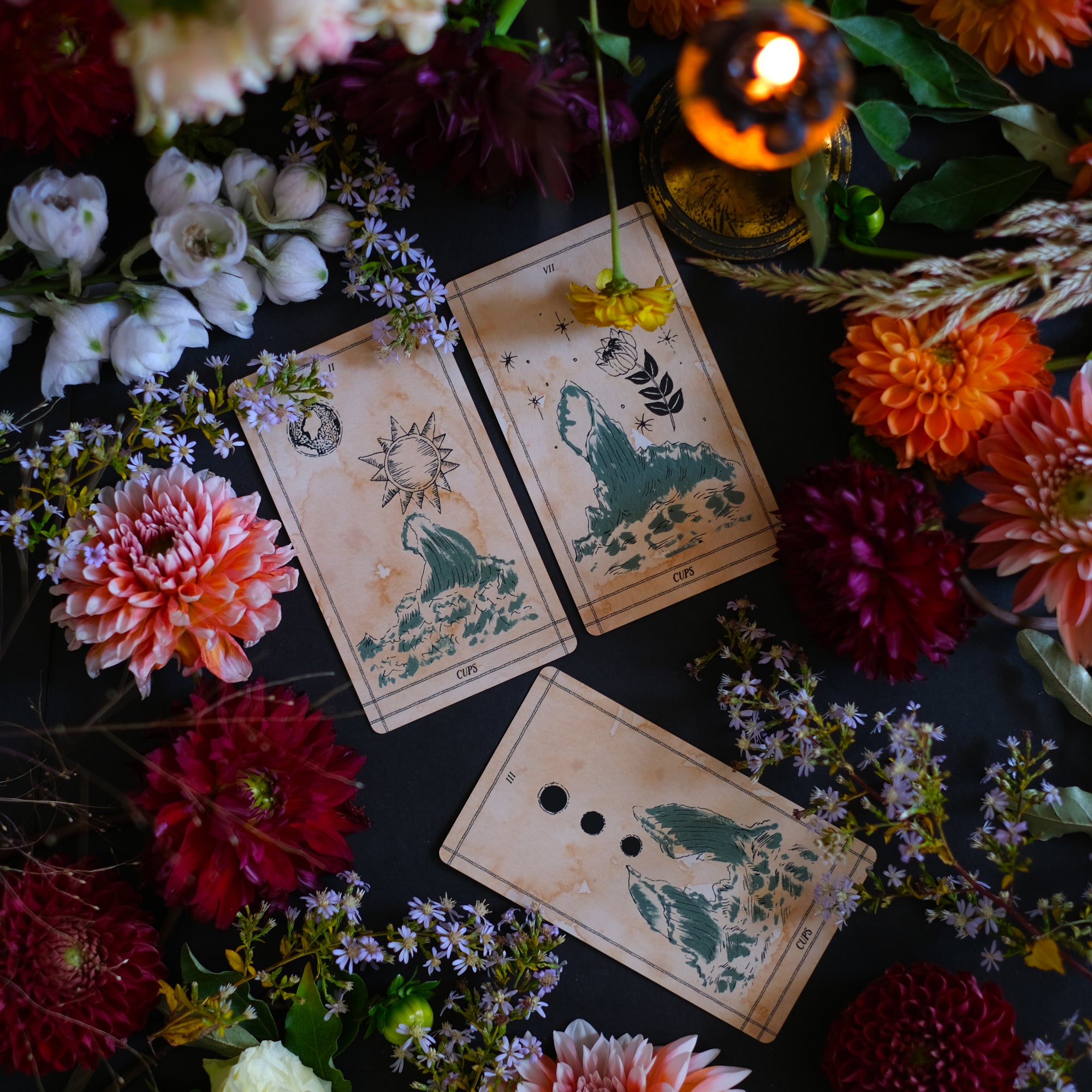 Ad Orbita Tarot is a hand-illustrated 78 card botanical and astrological deck. Rooted in the relationship between plants and the planets, each of these 78 tarot cards draws upon ancient meaning in a modern, imaginative and intuitive form.