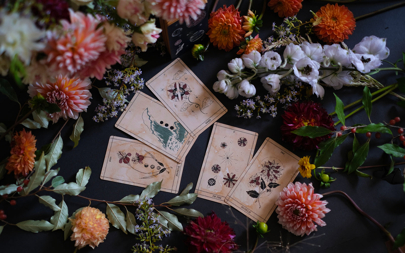 Ad Orbita Tarot is a botanical and outer space inspired deck, illustrated by hand and rooted in the boundless realm of imagination. 