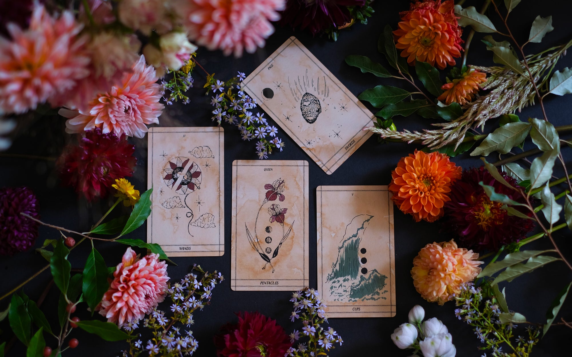 Ad Orbita Tarot is rooted in the plants and planets. Through 78 hand-illustrated cards, this botanical tarot deck journeys through the elements, astrology, the garden and the stars.