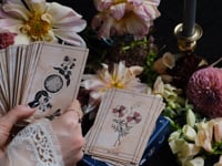 Botanical Space Tarot, Ad Orbita, is rooted in traditional Tarot and grounded in the planets, stars, astrology and plants. 