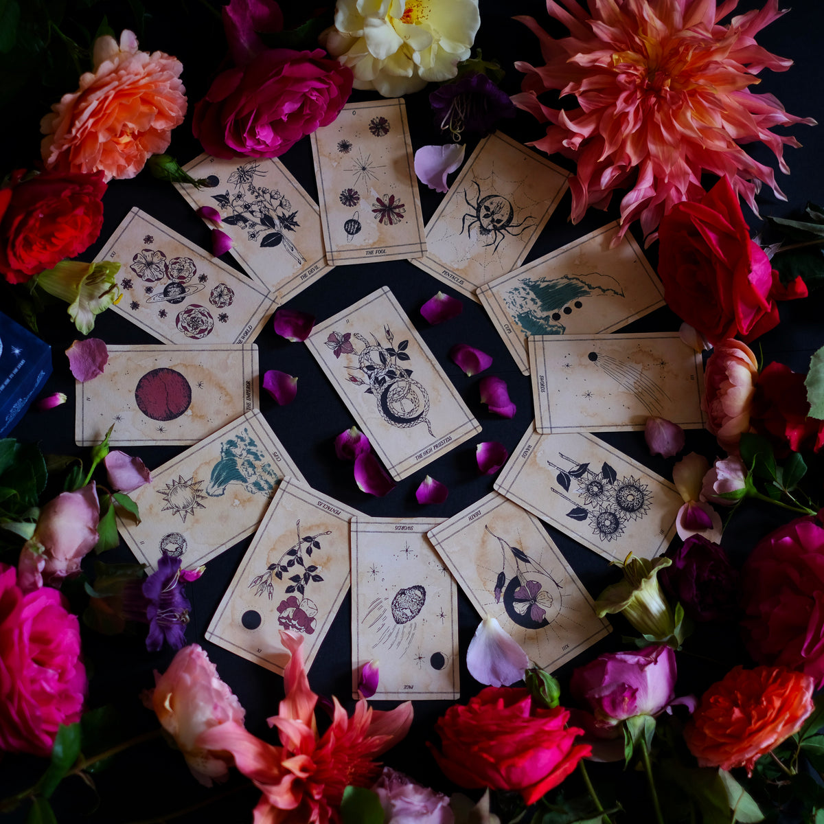 Botanical Space Tarot, Ad Orbita, is rooted in traditional Tarot and grounded in the planets, stars, astrology and plants. 