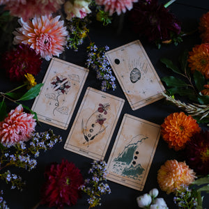 Ad Orbita is a botanical and astrological tarot deck that connects the plant world to the stars and planets.